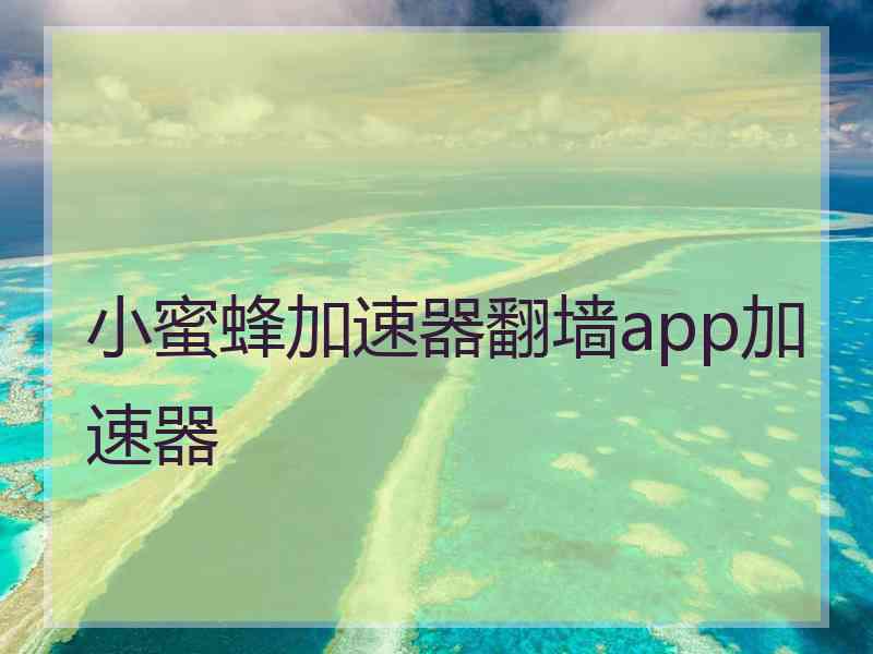 小蜜蜂加速器翻墙app加速器