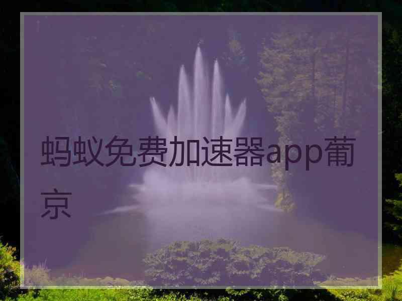 蚂蚁免费加速器app葡京