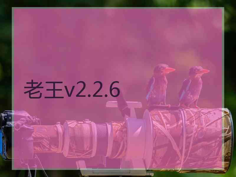 老王v2.2.6