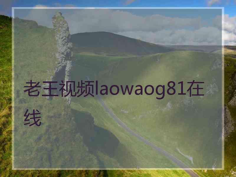 老王视频laowaog81在线