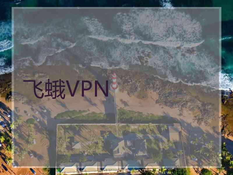 飞蛾VPN