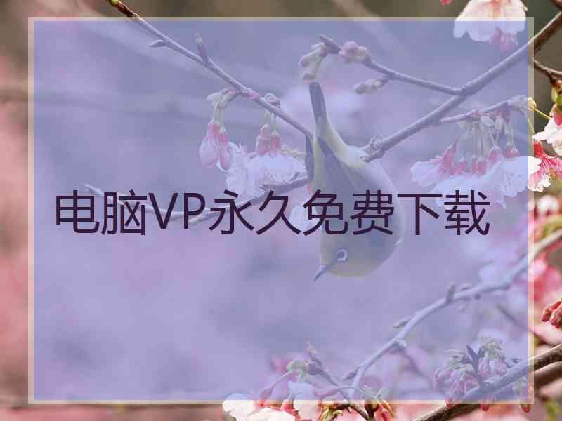 电脑VP永久免费下载