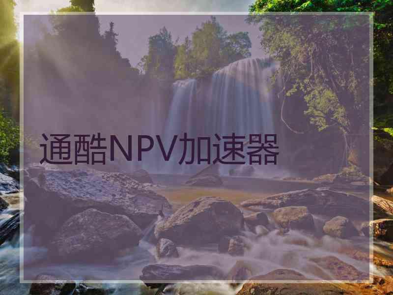 通酷NPV加速器