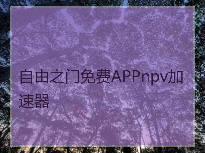 自由之门免费APPnpv加速器