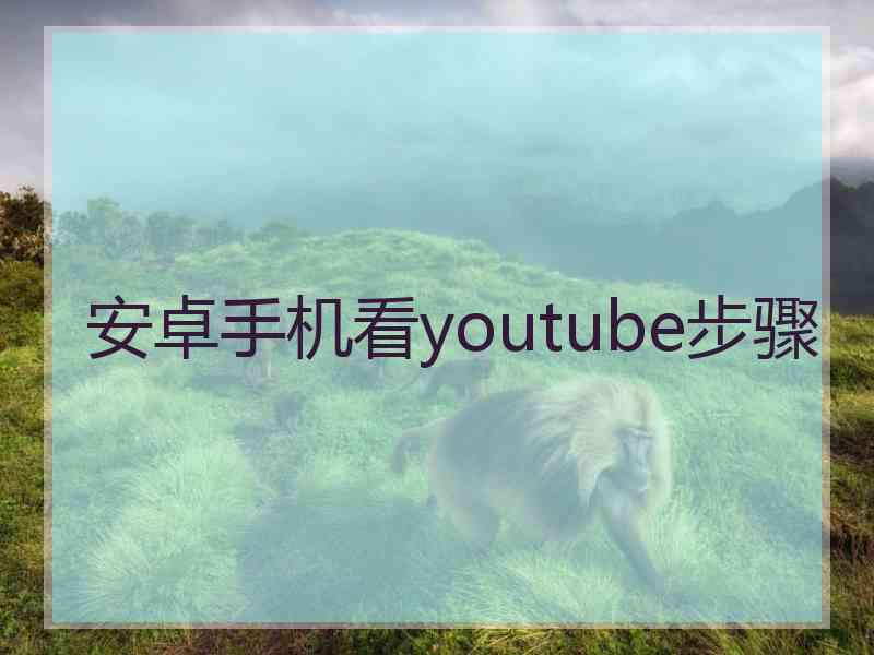 安卓手机看youtube步骤