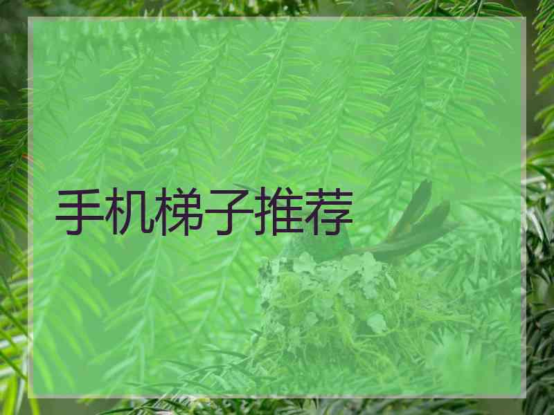 手机梯子推荐