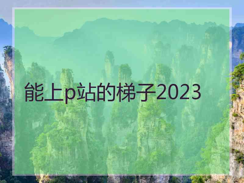 能上p站的梯子2023