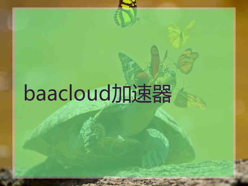 baacloud加速器