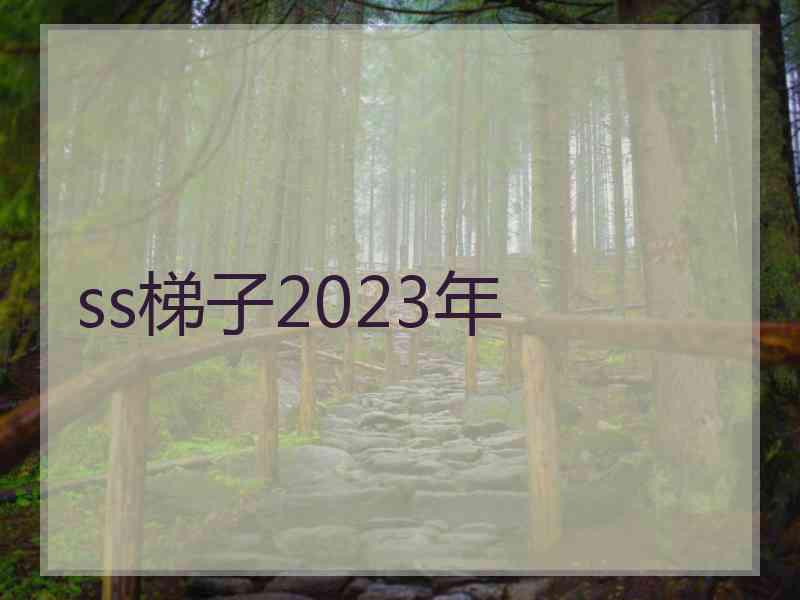 ss梯子2023年