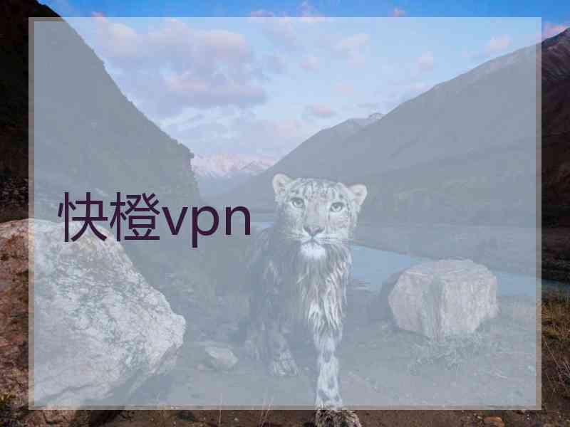 快橙vpn