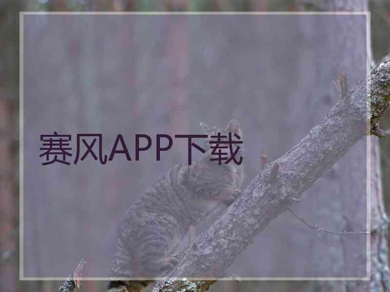 赛风APP下载