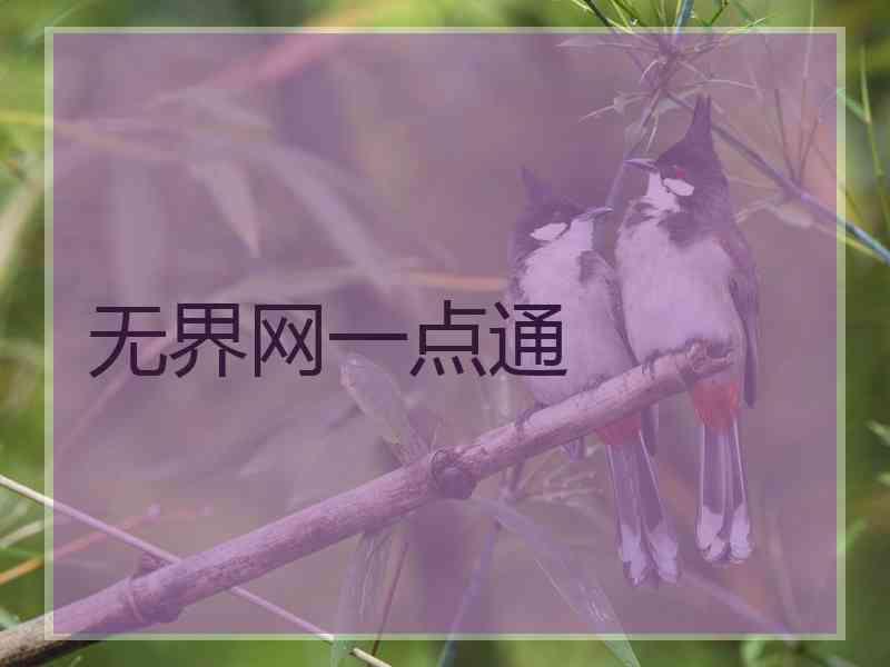 无界网一点通