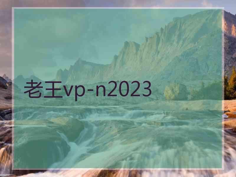 老王vp-n2023