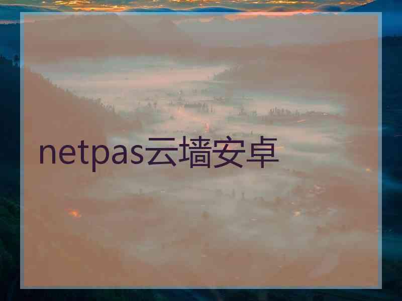 netpas云墙安卓