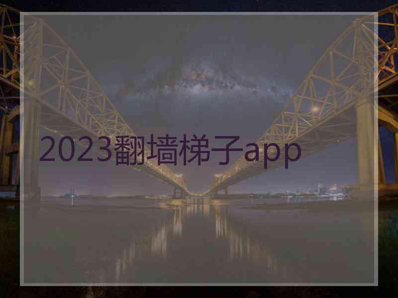 2023翻墙梯子app