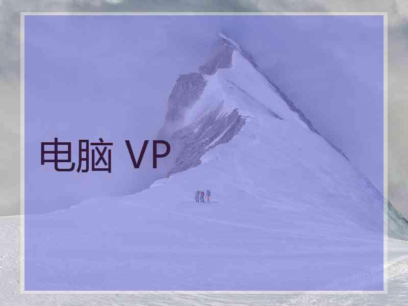 电脑 VP