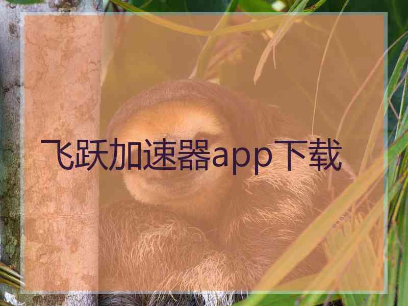 飞跃加速器app下载