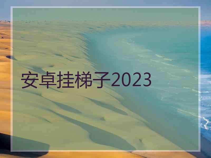 安卓挂梯子2023