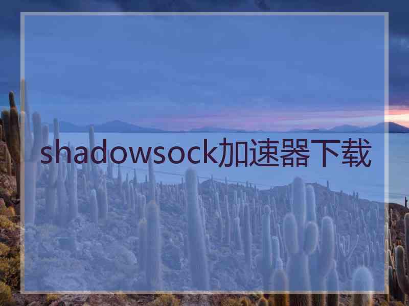 shadowsock加速器下载