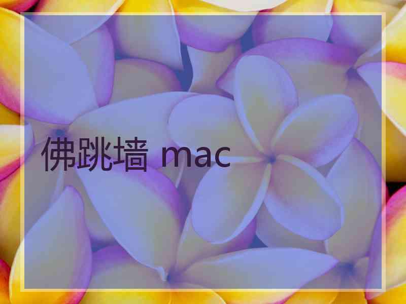 佛跳墙 mac