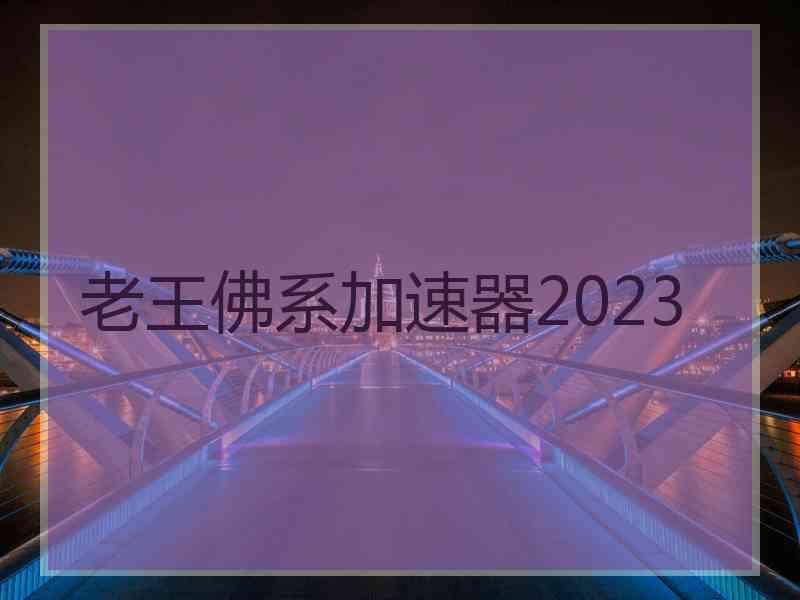 老王佛系加速器2023