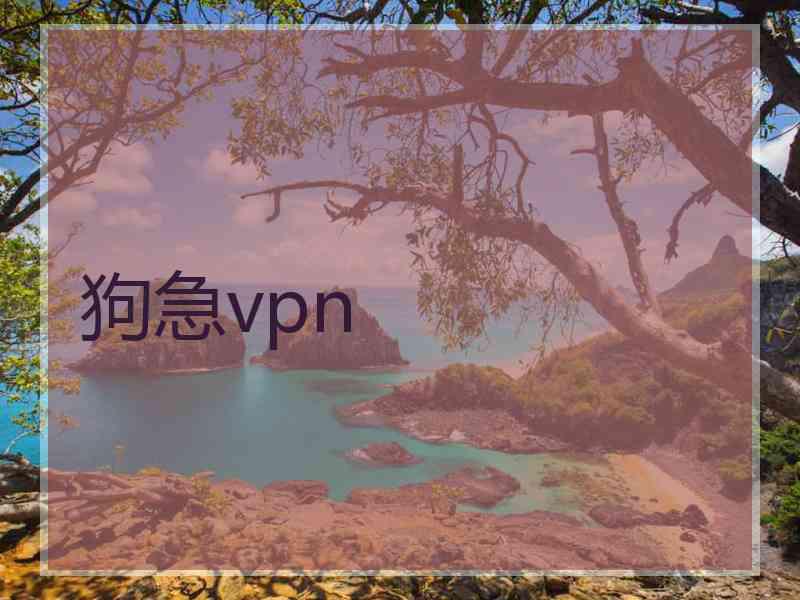 狗急vpn