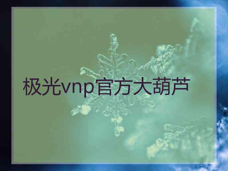 极光vnp官方大葫芦