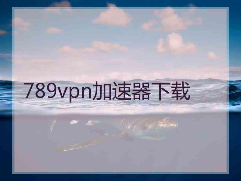 789vpn加速器下载