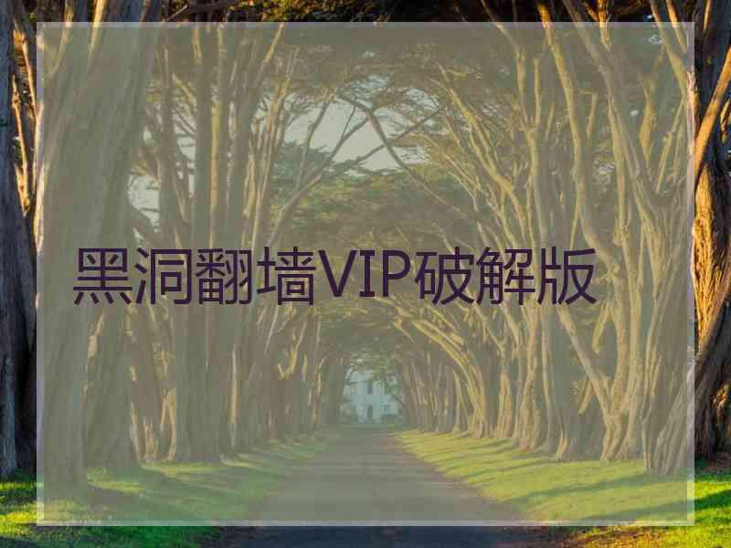 黑洞翻墙VIP破解版