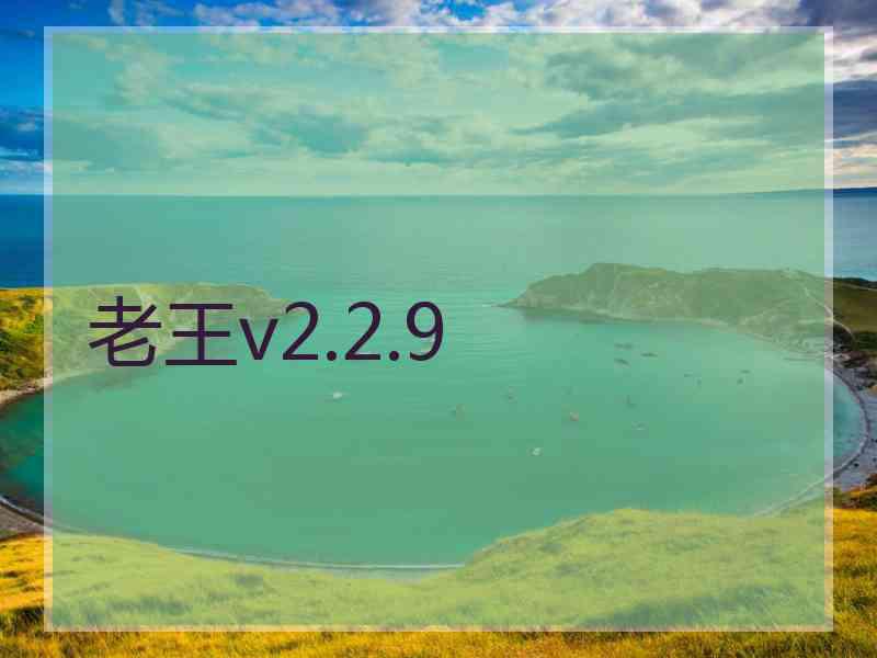 老王v2.2.9