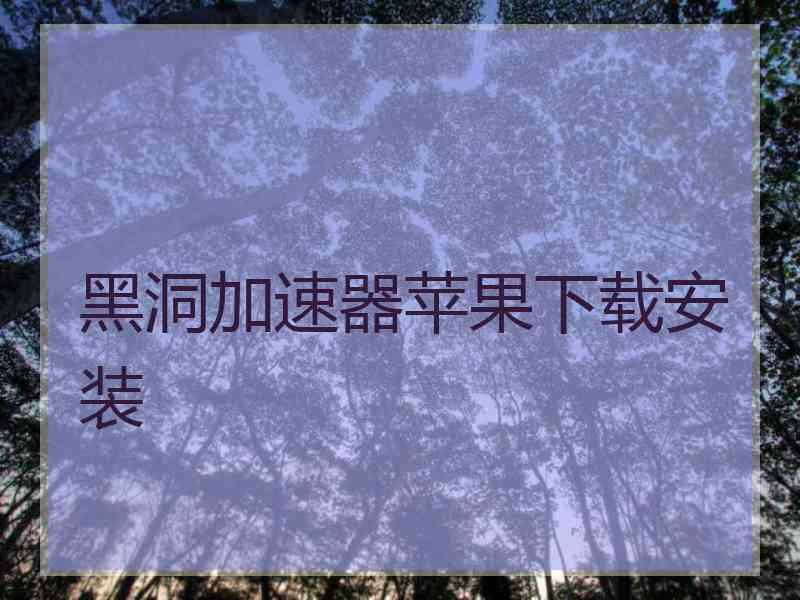 黑洞加速器苹果下载安装