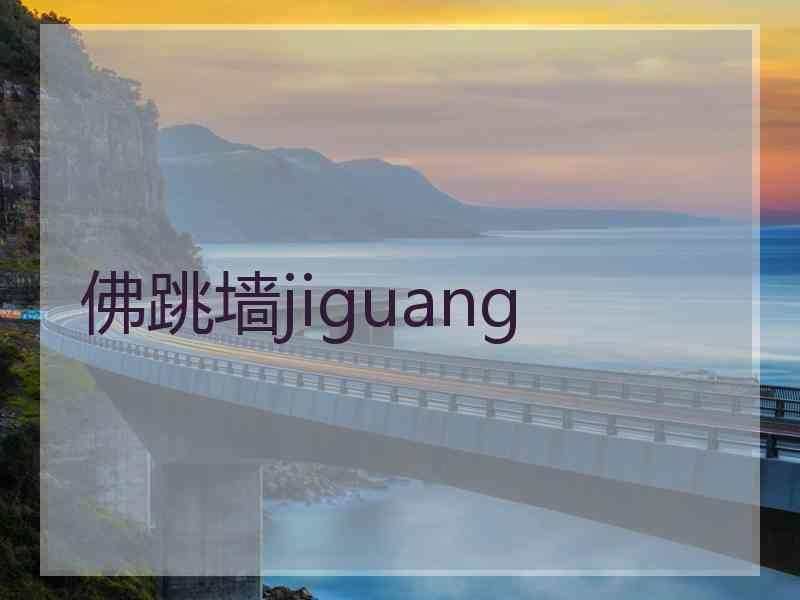 佛跳墙jiguang