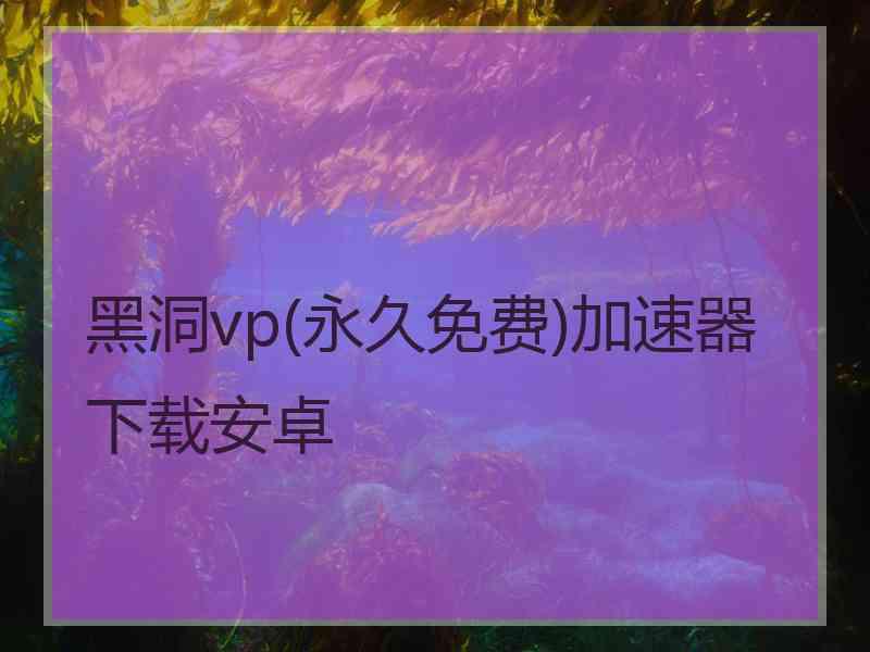 黑洞vp(永久免费)加速器下载安卓