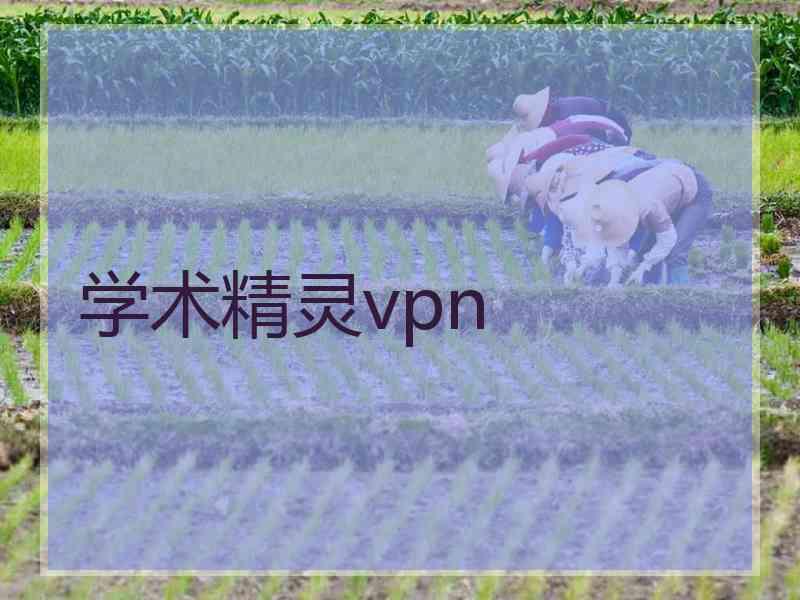 学术精灵vpn