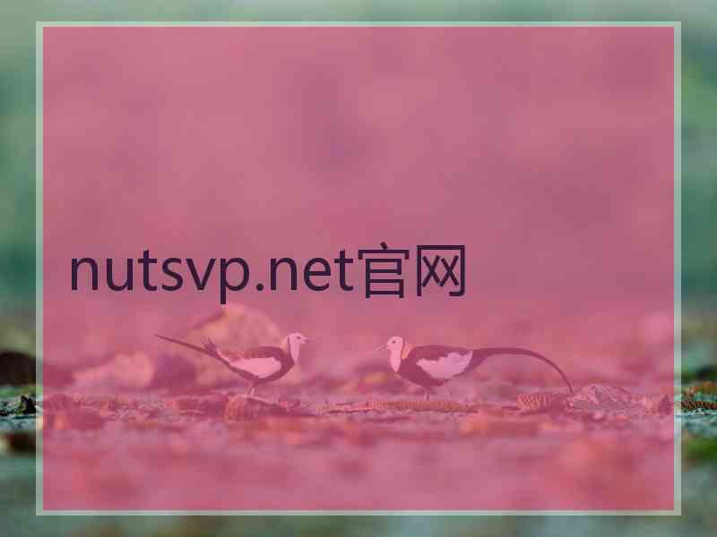 nutsvp.net官网