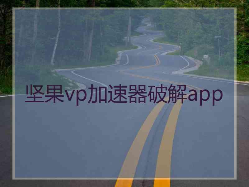 坚果vp加速器破解app