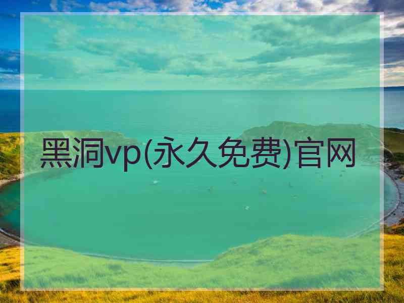 黑洞vp(永久免费)官网