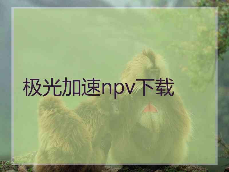 极光加速npv下载