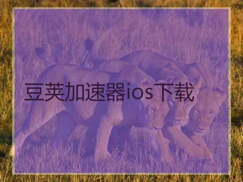 豆荚加速器ios下载