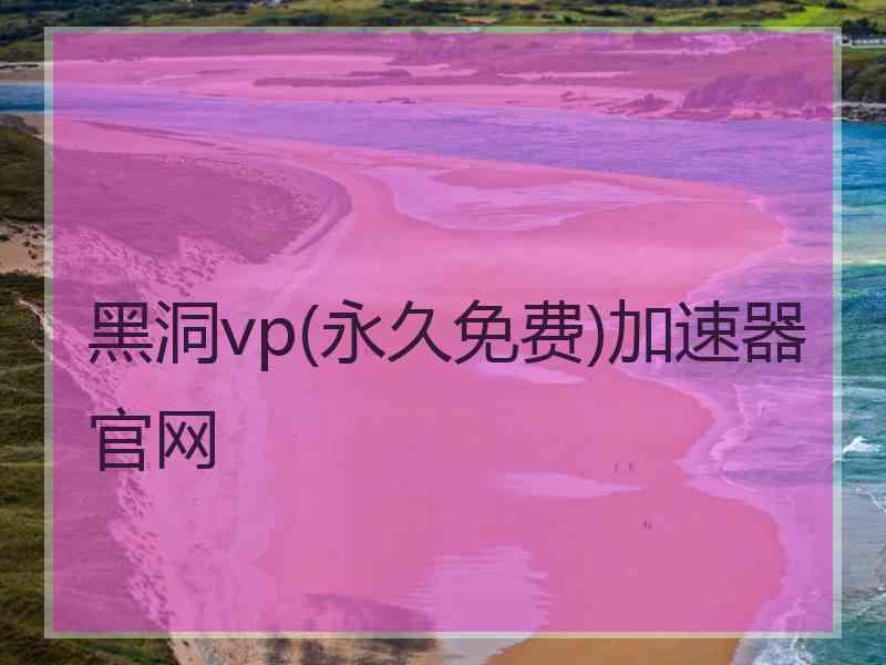 黑洞vp(永久免费)加速器官网