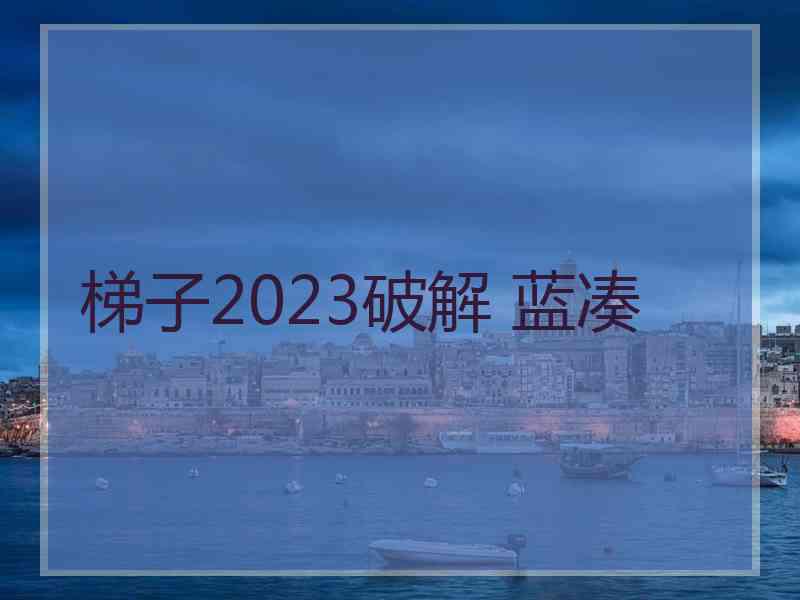 梯子2023破解 蓝凑