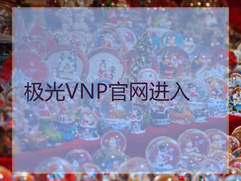 极光VNP官网进入