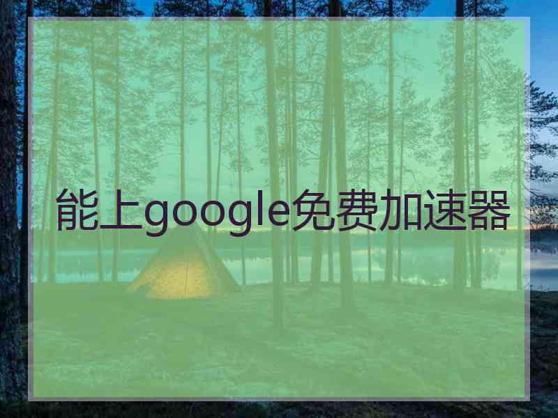 能上google免费加速器