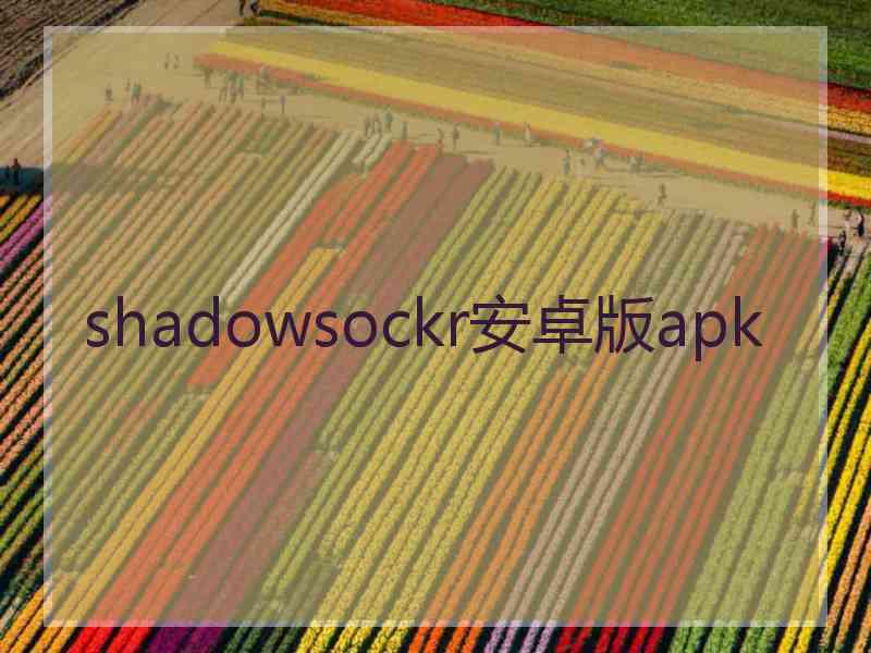 shadowsockr安卓版apk