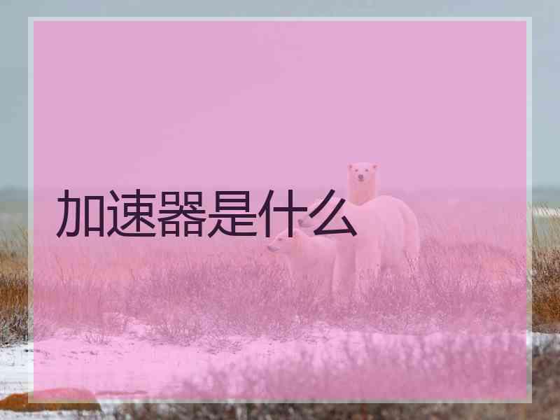 加速器是什么