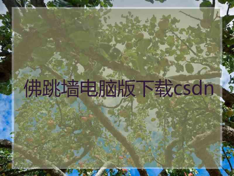 佛跳墙电脑版下载csdn