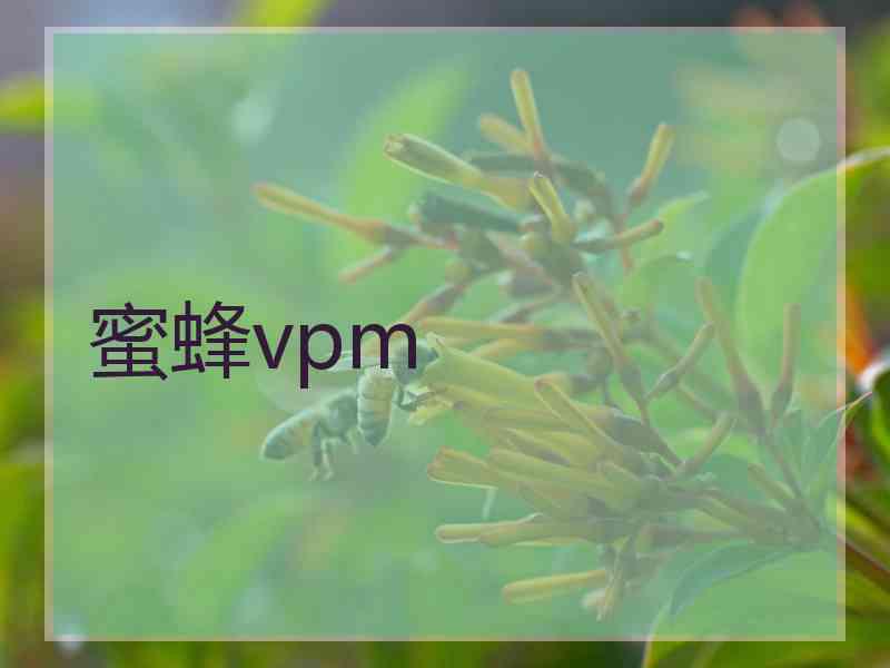 蜜蜂vpm