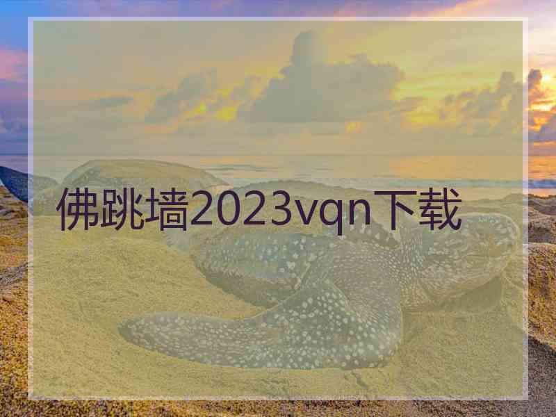 佛跳墙2023vqn下载