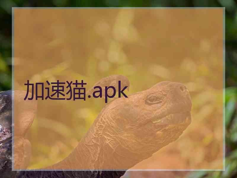 加速猫.apk