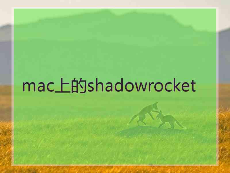 mac上的shadowrocket